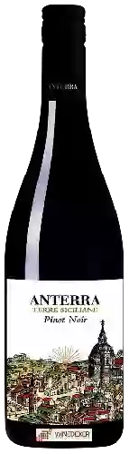 Weingut Anterra - Pinot Noir