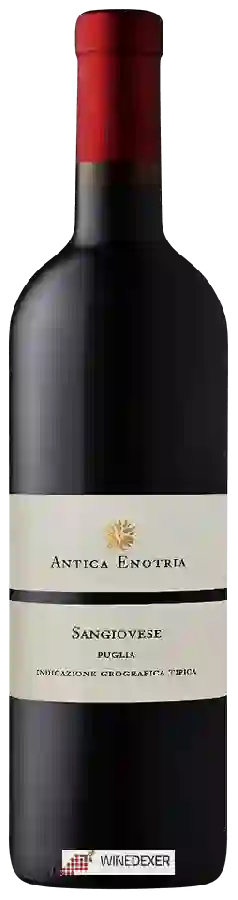 Weingut Antica Enotria - Sangiovese