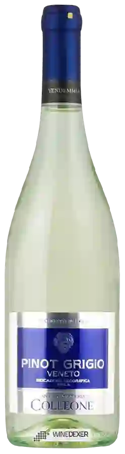 Weingut Antica Masseria Colleone - Pinot Grigio