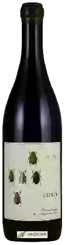 Weingut Antica Terra - Aurata Chardonnay