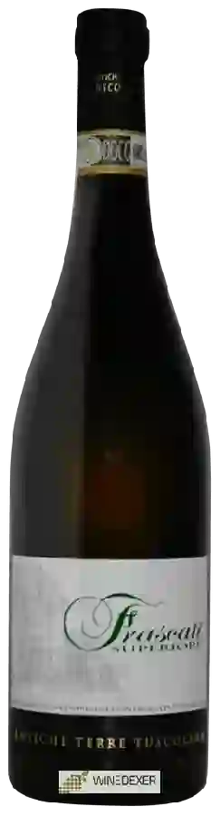 Weingut Antiche Terre Tuscolane - Frascati Superiore Weingut Antiche Terre Tuscolane - Frascati Superiore
