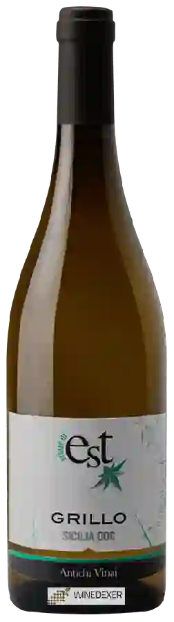 Weingut Antichi Vinai - Sciare di Est Grillo Weingut Antichi Vinai - Sciare di Est Grillo