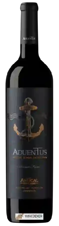 Weingut Antigal - ADUENTUS Cabernet Franc Weingut Antigal - ADUENTUS Cabernet Franc