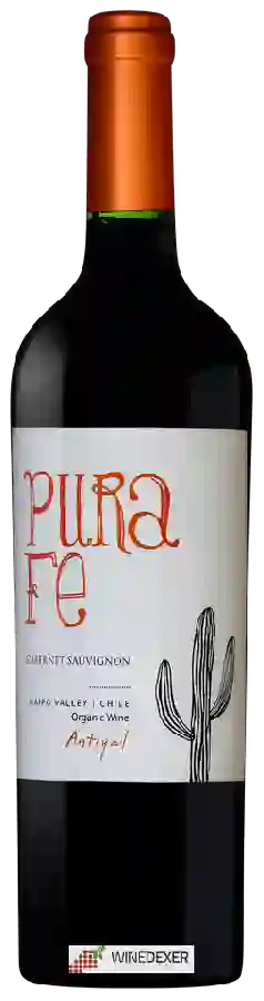 Weingut Antiyal - Pura Fe Cabernet Sauvignon Weingut Antiyal - Pura Fe Cabernet Sauvignon