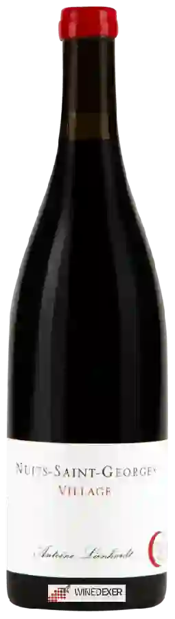 Weingut Antoine Lienhardt - Nuits-Saint-Georges Village Weingut Antoine Lienhardt - Nuits-Saint-Georges Village