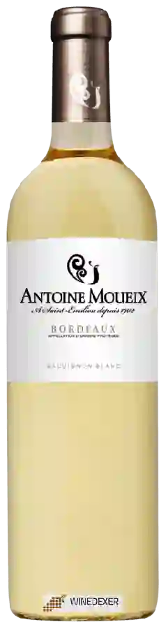 Weingut Antoine Moueix - Sauvignon Blanc Bordeaux