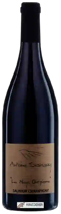 Weingut Antoine Sanzay - Saumur-Champigny 'La Haye Dampierre' Weingut Antoine Sanzay - Saumur-Champigny 'La Haye Dampierre'