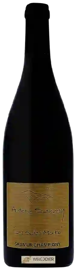 Weingut Antoine Sanzay - Saumur-Champigny 'Les Salles Martin'