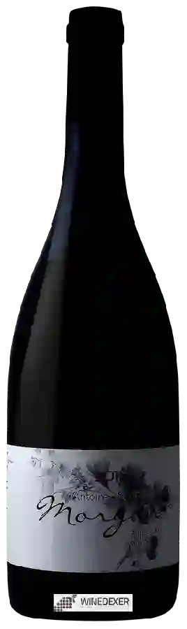 Weingut Antoine Sunier - Morgon Weingut Antoine Sunier - Morgon