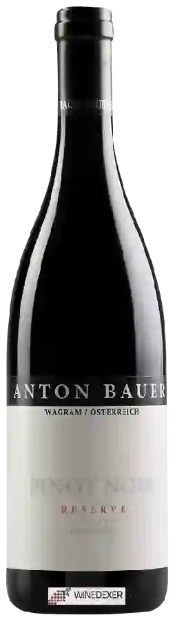 Weingut Anton Bauer - Pinot Noir Reserve Limited Edition Weingut Anton Bauer - Pinot Noir Reserve Limited Edition