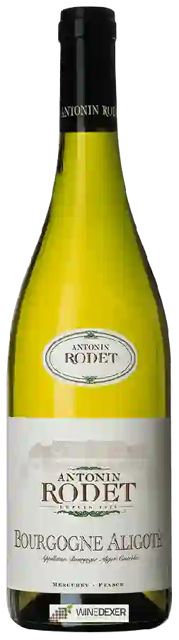 Weingut Antonin Rodet - Bourgogne Aligoté Weingut Antonin Rodet - Bourgogne Aligoté