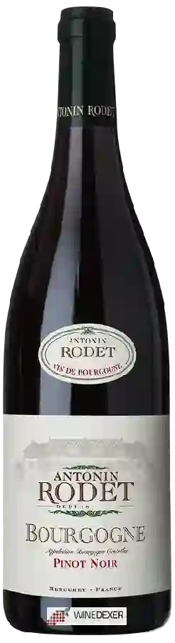 Weingut Antonin Rodet - Bourgogne Pinot Noir Weingut Antonin Rodet - Bourgogne Pinot Noir