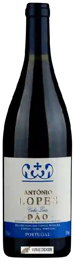Weingut António Lopes - Dão Weingut António Lopes - Dão