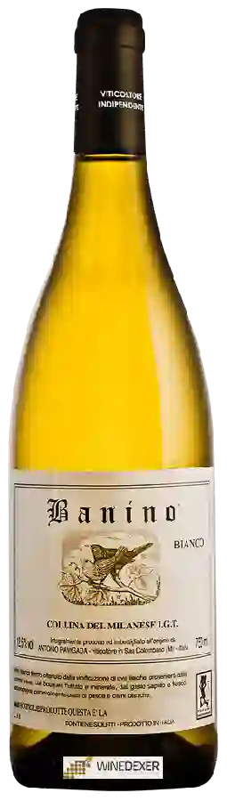 Weingut Banino - Bianco Weingut Banino - Bianco