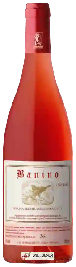 Weingut Banino - Uva Rara Rosato Weingut Banino - Uva Rara Rosato