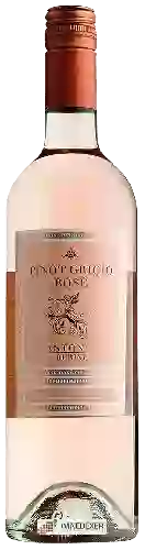 Weingut Antonio Rubini - Pinot Grigio Rosé