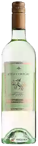 Weingut Antonio Rubini - Pinot Grigio