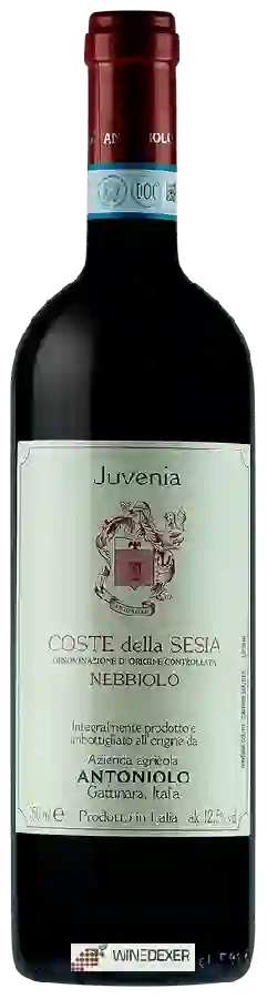 Weingut Antoniolo - Juvenia Coste della Sesia Nebbiolo Weingut Antoniolo - Juvenia Coste della Sesia Nebbiolo