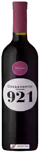 Weingut Antonutti - Collevento 921 Merlot