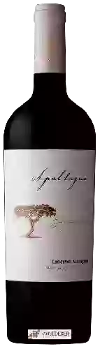 Weingut Apaltagua - Signature Cabernet Sauvignon