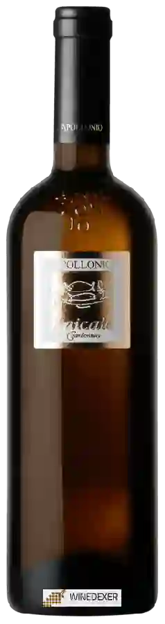 Weingut Apollonio - Laicale Chardonnay