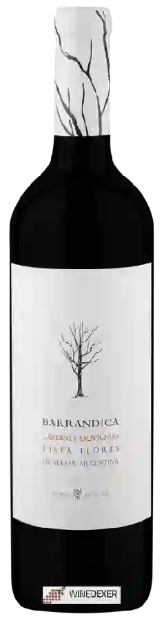 Weingut Antucura - Barrandica Cabernet Sauvignon Weingut Antucura - Barrandica Cabernet Sauvignon