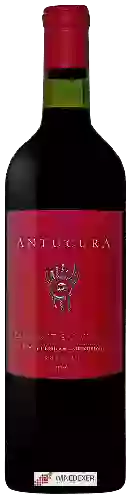 Weingut Antucura - Cabernet Sauvignon