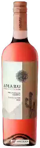Weingut El Esteco - Amaru High Vineyards Torrontés Rosé