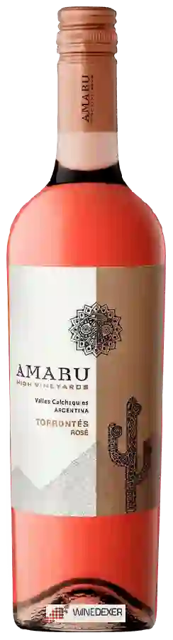 Weingut El Esteco - Amaru High Vineyards Torrontés Rosé Weingut El Esteco - Amaru High Vineyards Torrontés Rosé