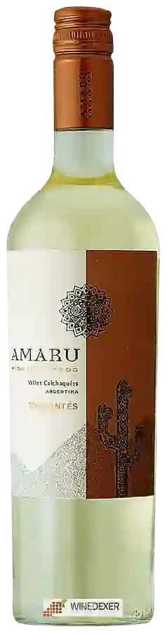 Weingut El Esteco - Amaru High Vineyards Torrontés