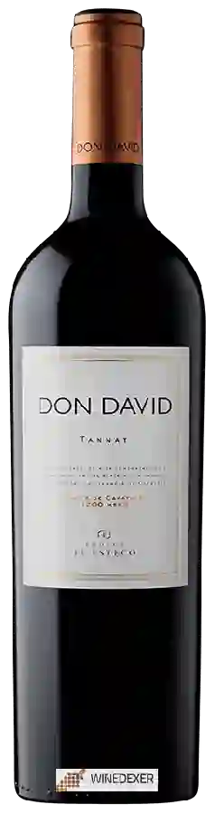 Weingut El Esteco - Don David Tannat