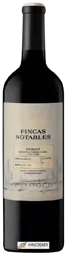 Weingut El Esteco - Fincas Notables Merlot Weingut El Esteco - Fincas Notables Merlot