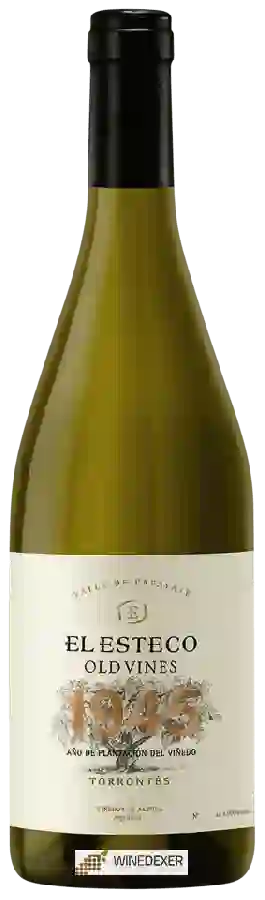 Weingut El Esteco - Old Vines Torrontés Weingut El Esteco - Old Vines Torrontés