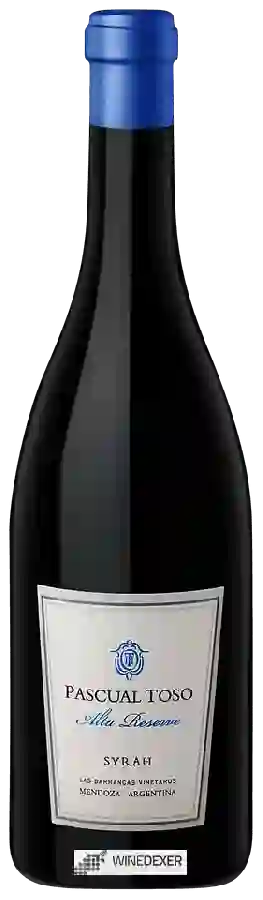 Weingut Pascual Toso - Alta Reserve Syrah Weingut Pascual Toso - Alta Reserve Syrah