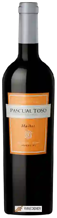 Weingut Pascual Toso - Malbec Weingut Pascual Toso - Malbec