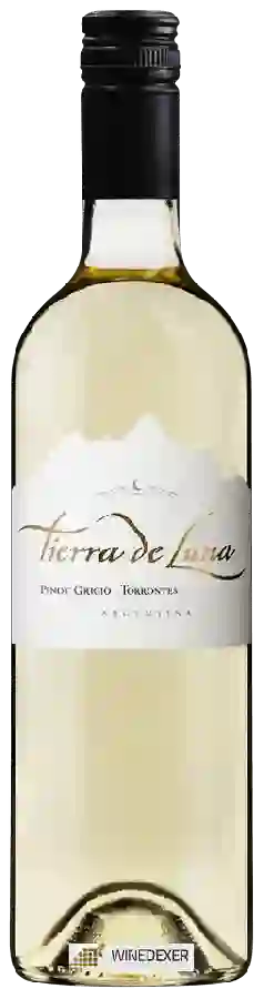 Weingut Tierra de Luna - Torrontes - Pinot Grigio