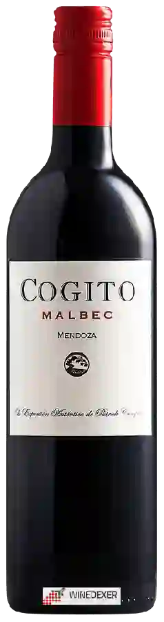 Weingut Tierra Divina - Cogito Malbec Weingut Tierra Divina - Cogito Malbec