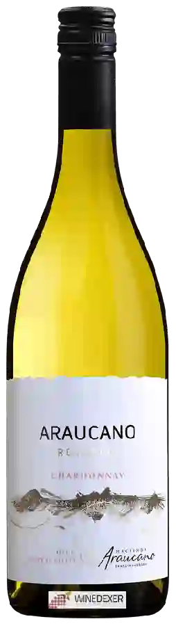 Weingut Araucano - Chardonnay Reserva