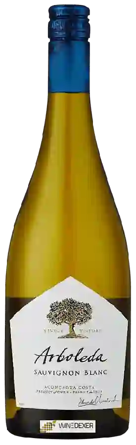 Weingut Arboleda - Sauvignon Blanc