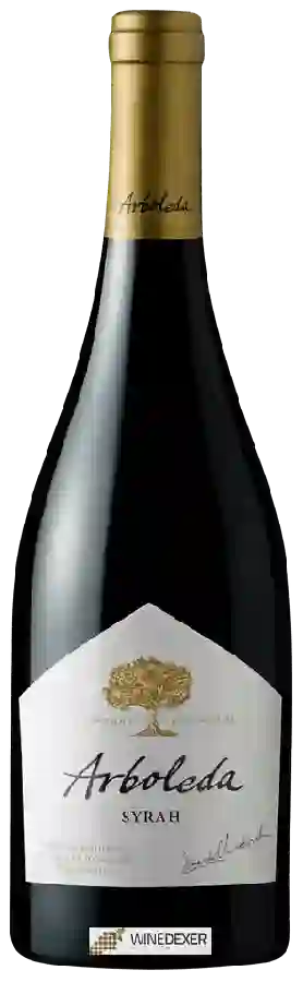 Weingut Arboleda - Syrah