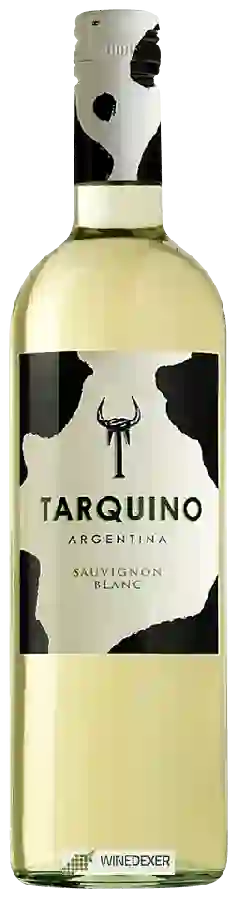 Weingut Argento - Tarquino Sauvignon Blanc Weingut Argento - Tarquino Sauvignon Blanc