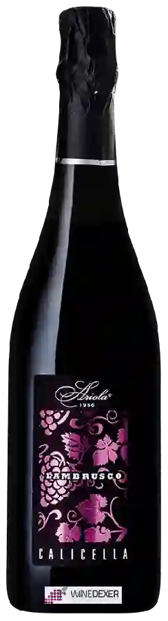 Weingut Ariola - Lambrusco Terre di Calicella Weingut Ariola - Lambrusco Terre di Calicella