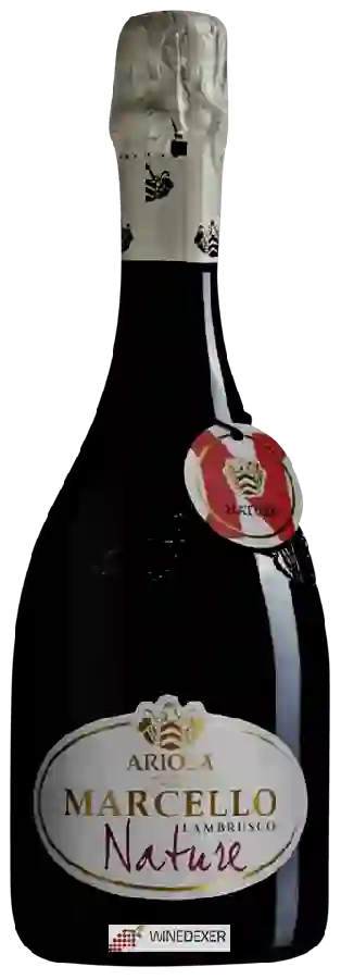 Weingut Ariola - Marcello Lambrusco Nature Weingut Ariola - Marcello Lambrusco Nature