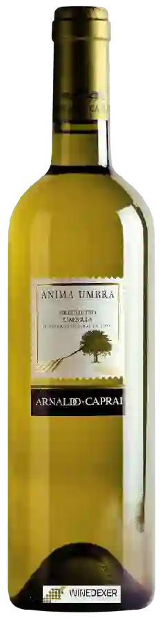Weingut Arnaldo-Caprai - Anima Umbra Grechetto Umbria