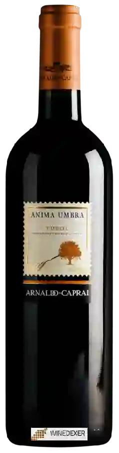 Weingut Arnaldo-Caprai - Anima Umbra Umbria Weingut Arnaldo-Caprai - Anima Umbra Umbria