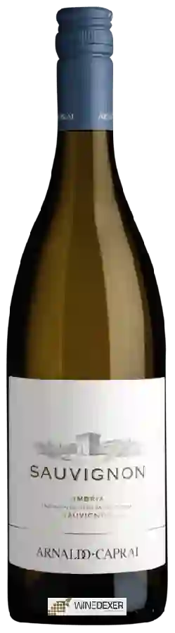 Weingut Arnaldo-Caprai - Sauvignon Umbria Weingut Arnaldo-Caprai - Sauvignon Umbria