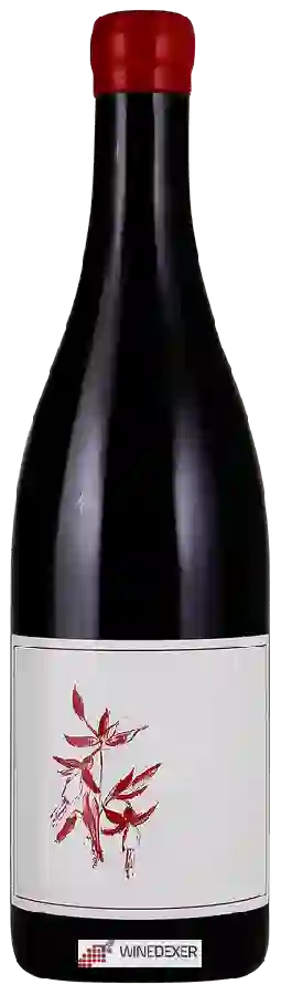 Weingut Arnot-Roberts - Clary Ranch Pinot Noir Weingut Arnot-Roberts - Clary Ranch Pinot Noir