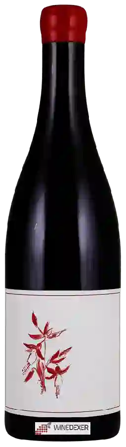 Weingut Arnot-Roberts - Gamay Noir Weingut Arnot-Roberts - Gamay Noir