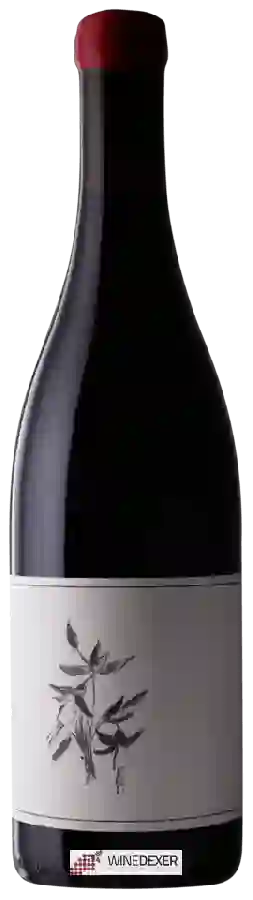 Weingut Arnot-Roberts - Kirschenmann Vineyard Zinfandel Weingut Arnot-Roberts - Kirschenmann Vineyard Zinfandel