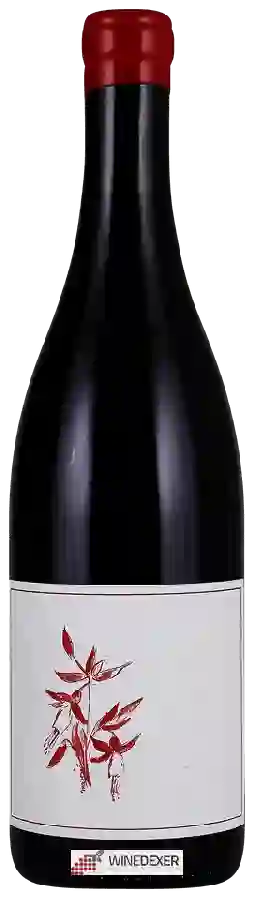 Weingut Arnot-Roberts - Peter Martin Ray Vineyard Pinot Noir Weingut Arnot-Roberts - Peter Martin Ray Vineyard Pinot Noir